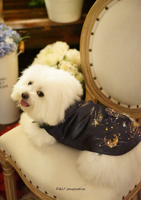 Celestial French Embroidered Vest