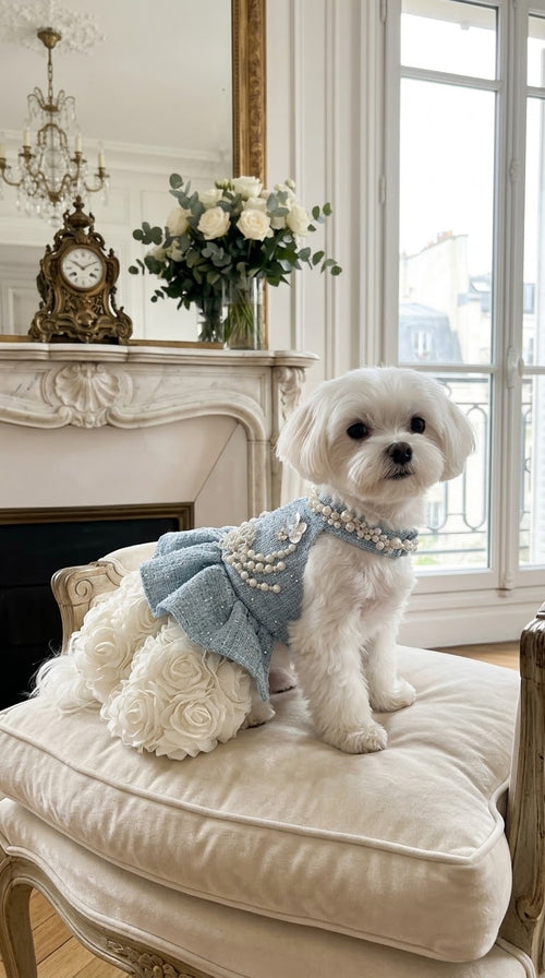 Coco Azure Dress