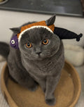 Halloween Fish Hat