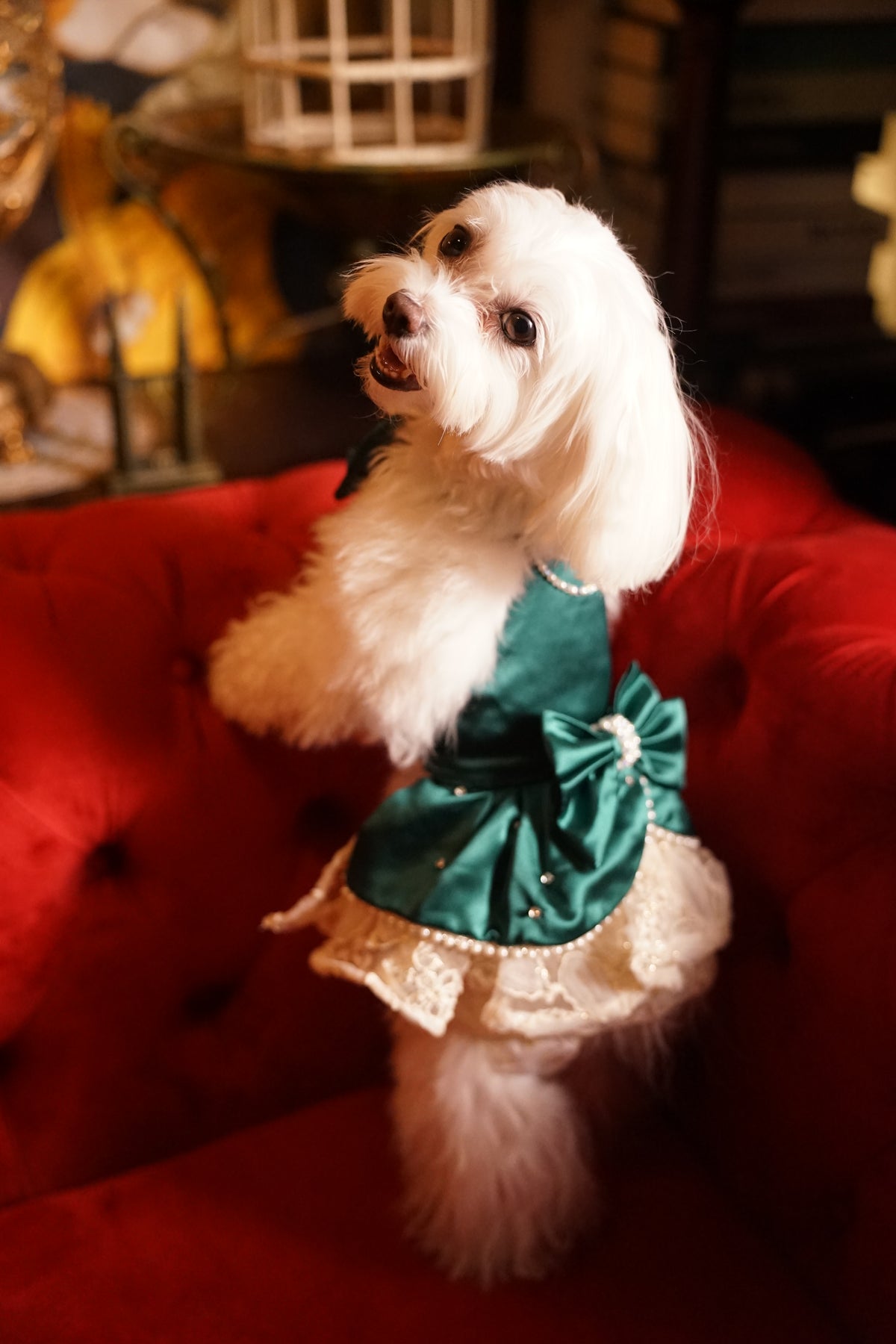 Emerald Ethereal Gown